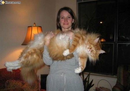 Oh mon dieu il est ENORME !
